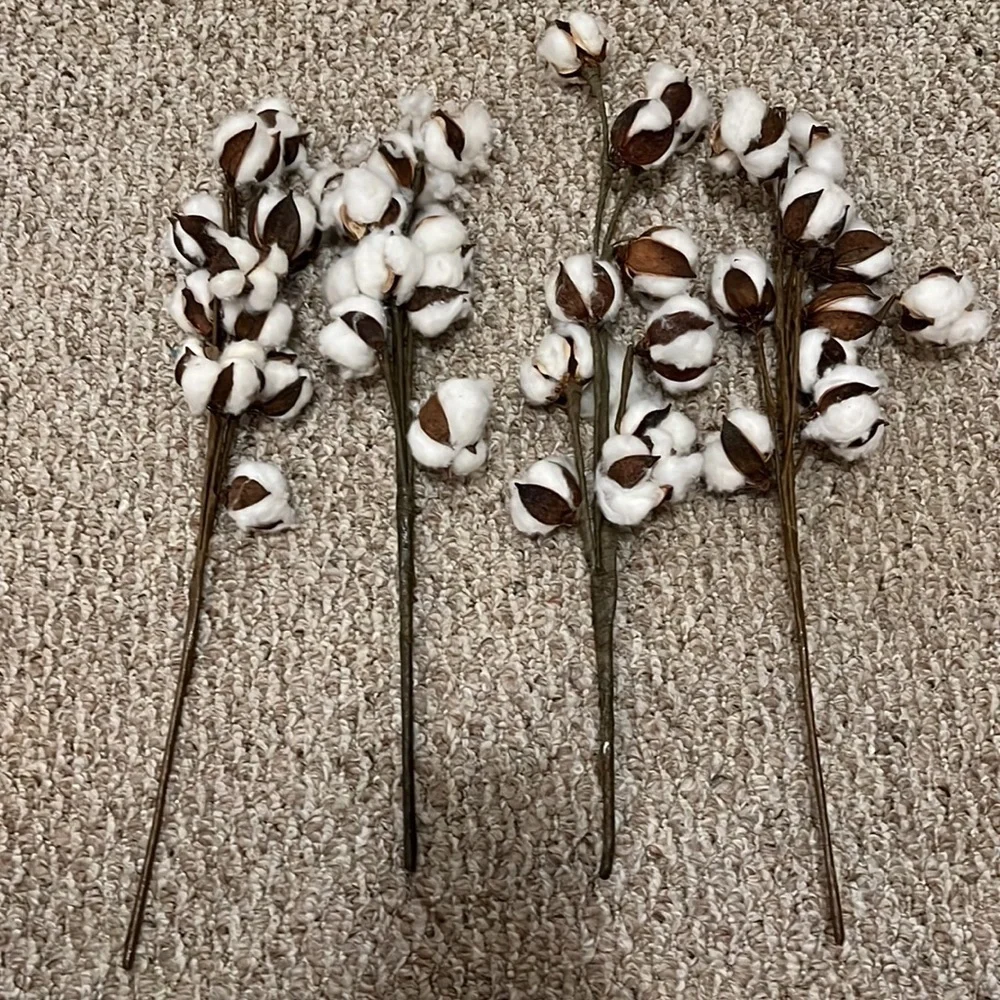 LIKE NEW COTTON STEMS - PACK OF 4